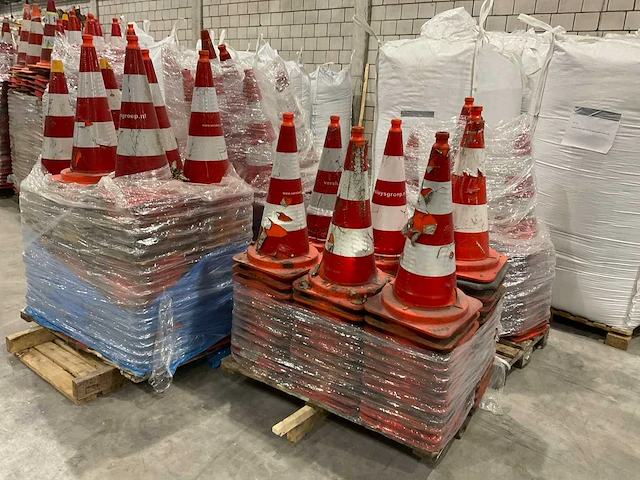 Pionnen - afbeelding 2 van  7