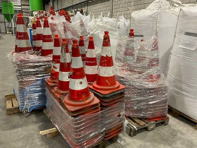 Pionnen - afbeelding 3 van  7