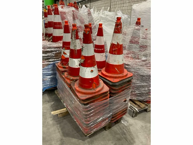 Pionnen - afbeelding 5 van  7
