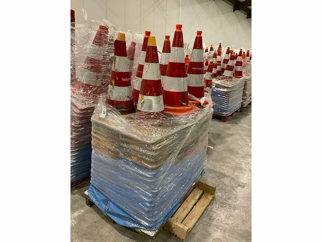 Pionnen - afbeelding 6 van  7
