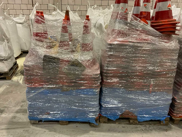 Pionnen - afbeelding 3 van  7