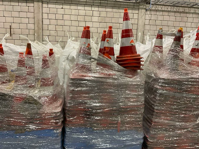 Pionnen - afbeelding 4 van  7