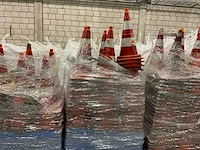 Pionnen - afbeelding 4 van  7