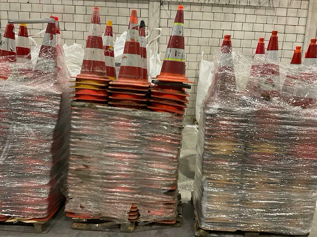 Pionnen - afbeelding 6 van  7