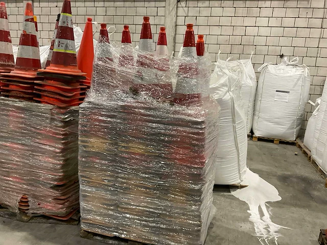 Pionnen - afbeelding 7 van  7
