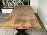 Piquia boomstamtafel - afbeelding 3 van  8