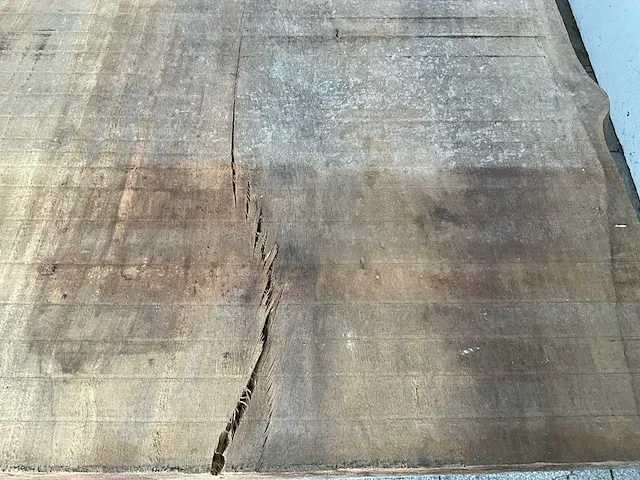 Piquia boomstamtafel - afbeelding 4 van  8