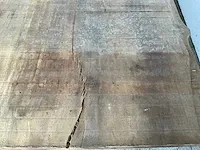Piquia boomstamtafel - afbeelding 4 van  8