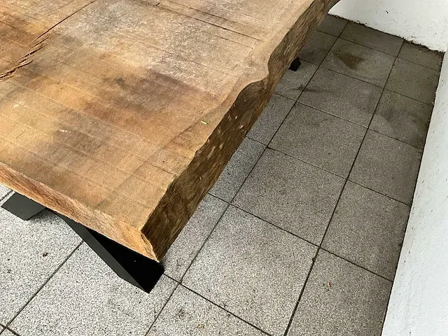 Piquia boomstamtafel - afbeelding 5 van  8