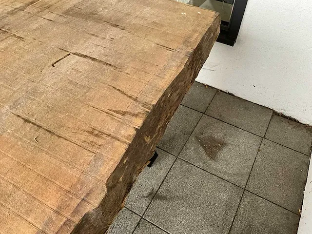 Piquia boomstamtafel - afbeelding 6 van  8