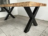 Piquia boomstamtafel - afbeelding 8 van  8