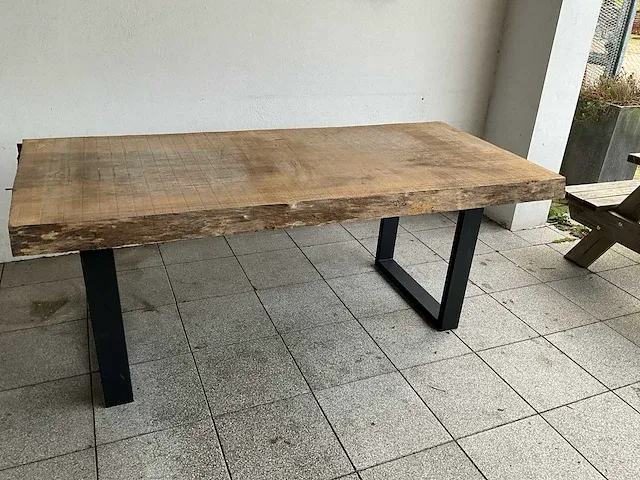 Piquia boomstamtafel - afbeelding 1 van  7