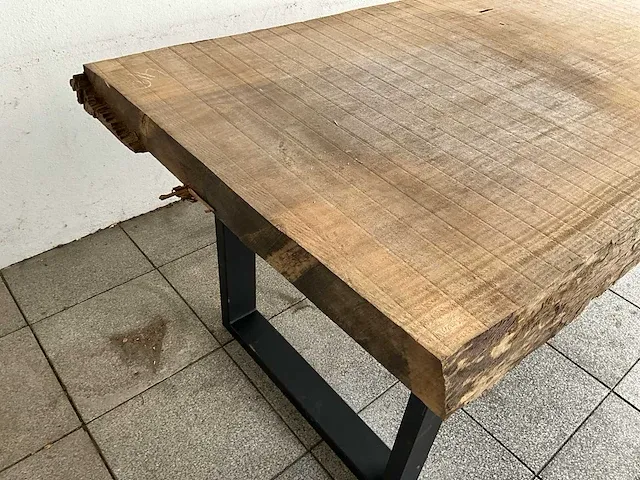 Piquia boomstamtafel - afbeelding 7 van  7