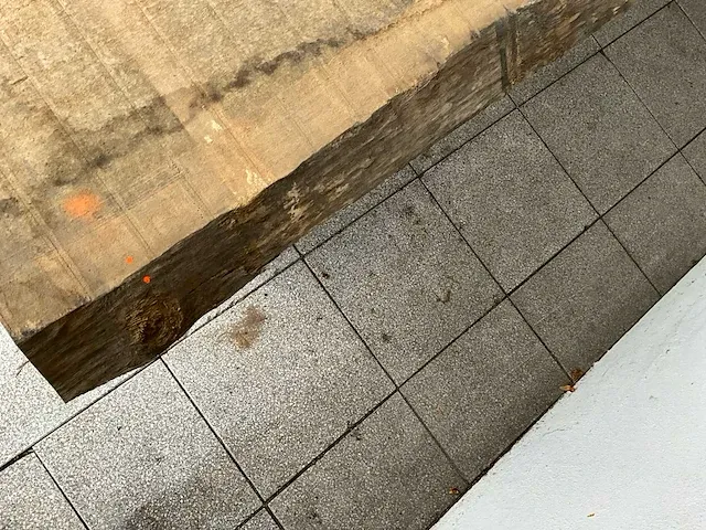 Piquia boomstamtafel - afbeelding 2 van  10