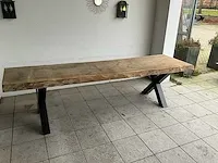 Piquia boomstamtafel - afbeelding 1 van  10