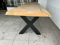 Piquia boomstamtafel - afbeelding 4 van  10