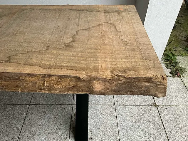 Piquia boomstamtafel - afbeelding 5 van  10