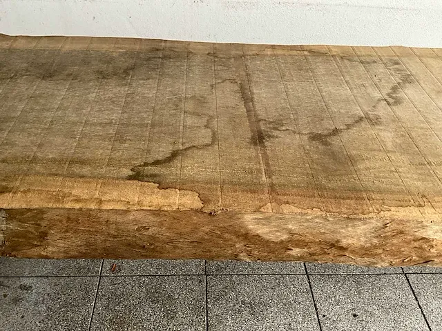 Piquia boomstamtafel - afbeelding 7 van  10