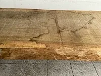 Piquia boomstamtafel - afbeelding 7 van  10