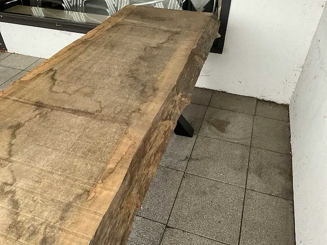 Piquia boomstamtafel - afbeelding 10 van  10