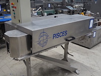 Pisces - afbeelding 1 van  21