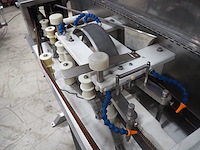 Pisces - afbeelding 21 van  21