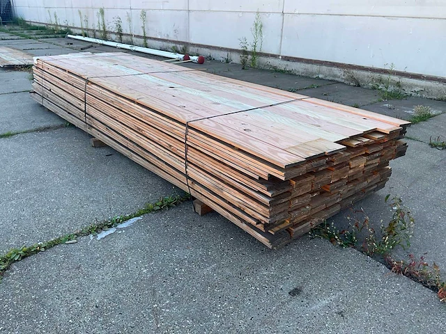 Plank douglas (200x) - afbeelding 2 van  4