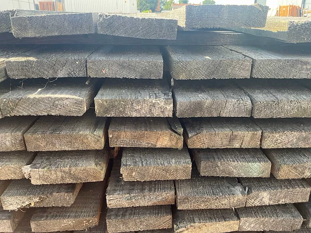 Plank larik (260x) - afbeelding 6 van  6
