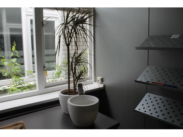 Plant in pot met hoogte 120 cm en extra pot met doorsnede 29 cm. - afbeelding 1 van  2