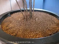 Plant in pot - afbeelding 3 van  4