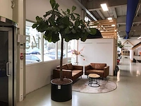 Plant met pot