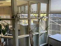 Plant met pot - afbeelding 2 van  3