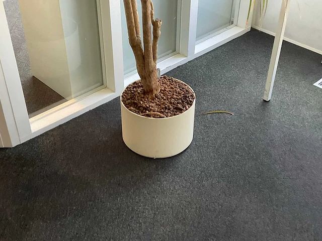 Plant met pot - afbeelding 3 van  3