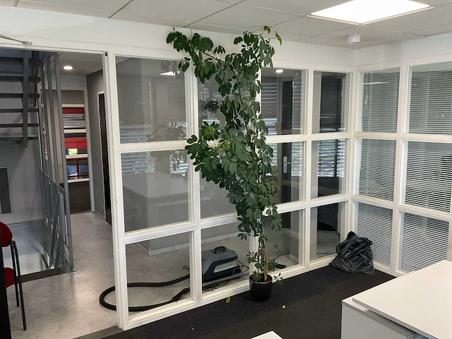 Plant met pot - afbeelding 1 van  3