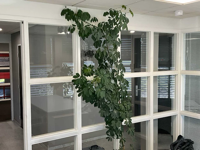 Plant met pot - afbeelding 2 van  3