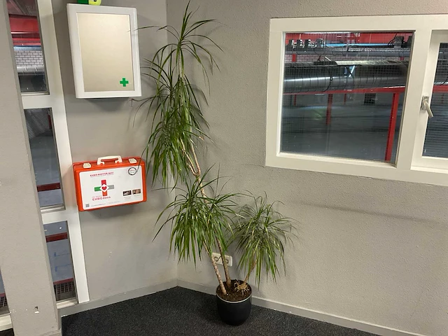 Plant met pot - afbeelding 1 van  2