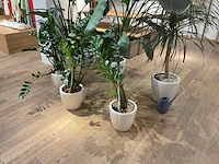 Planten met kunststof pot - afbeelding 2 van  4