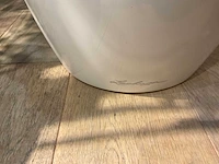 Planten met kunststof pot - afbeelding 4 van  4