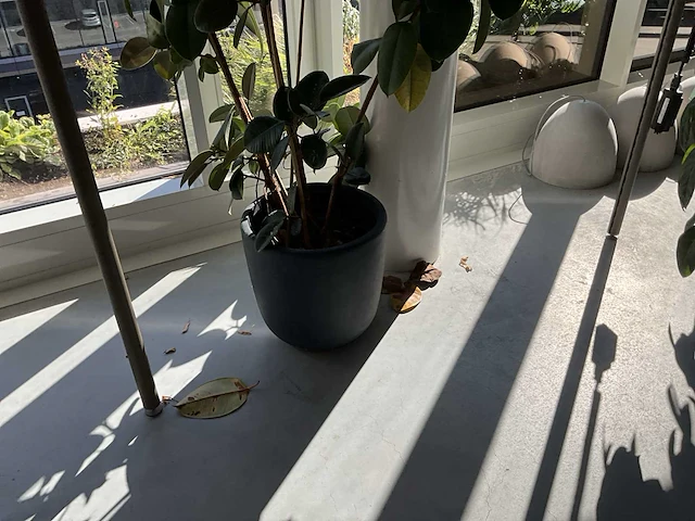 Planten met pot (20x) - afbeelding 2 van  7