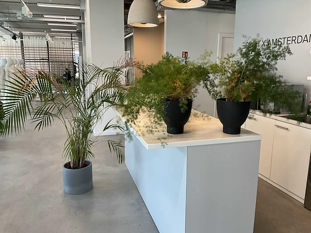 Planten met pot (20x) - afbeelding 4 van  7