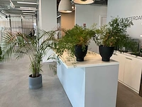 Planten met pot (20x) - afbeelding 4 van  7
