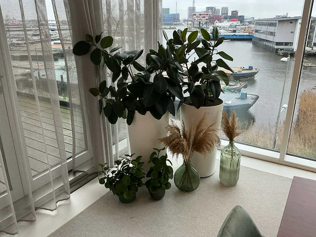 Planten met pot (4x) - afbeelding 1 van  5