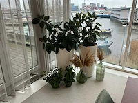 Planten met pot (4x)