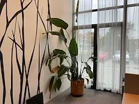 Planten met pot - afbeelding 3 van  4