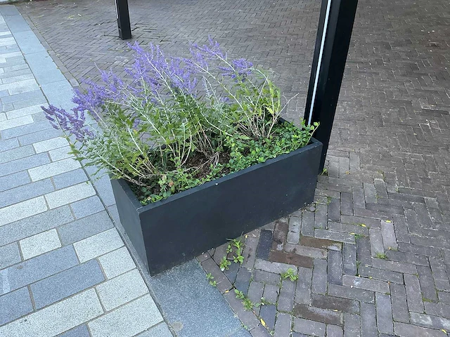 Plantenbak (2x) - afbeelding 1 van  2