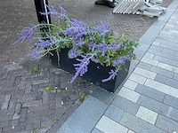 Plantenbak (2x) - afbeelding 2 van  2