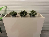 Plantenbak (2x) - afbeelding 7 van  10