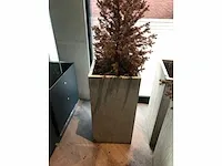 Plantenbak (4x) - afbeelding 2 van  4