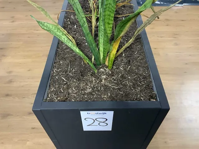 Plantenbak - afbeelding 3 van  3