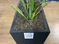 Plantenbak - afbeelding 3 van  3